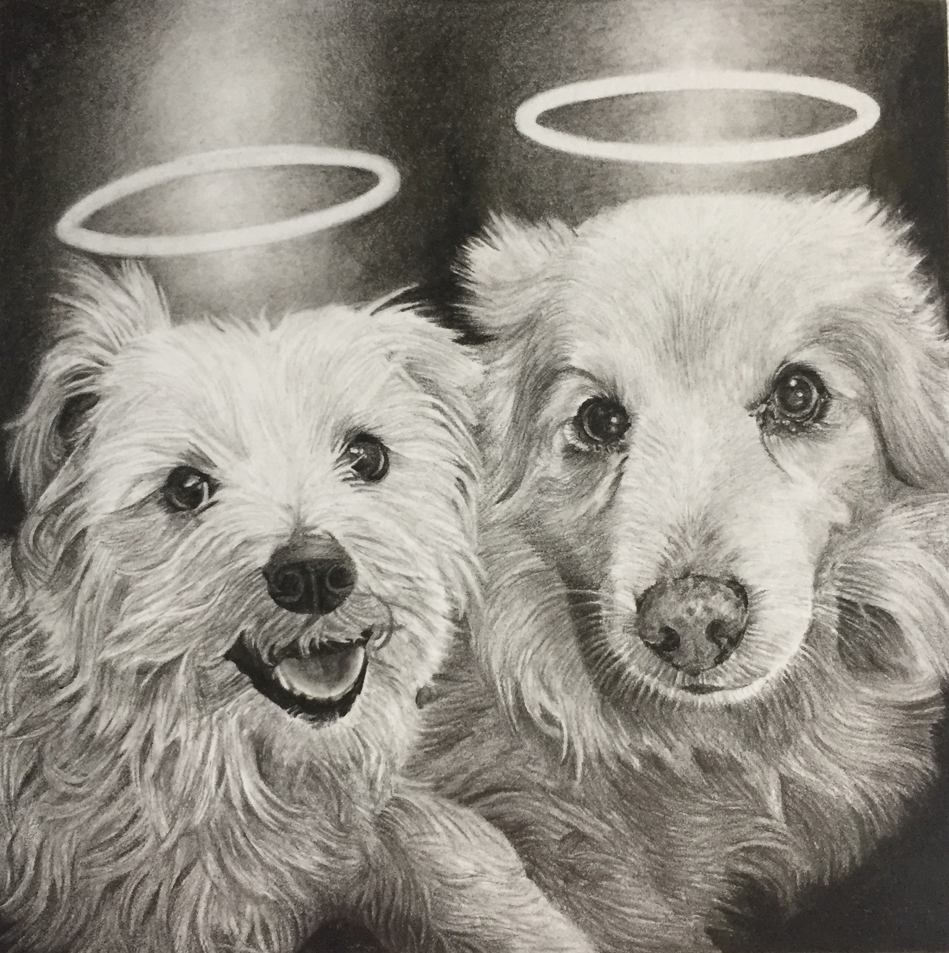 Misty and Snowball | 4" x 4"