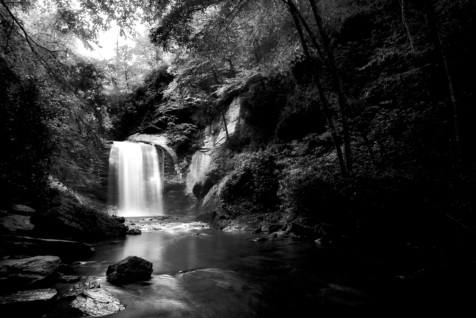 Looking Glass Falls, North Carolina