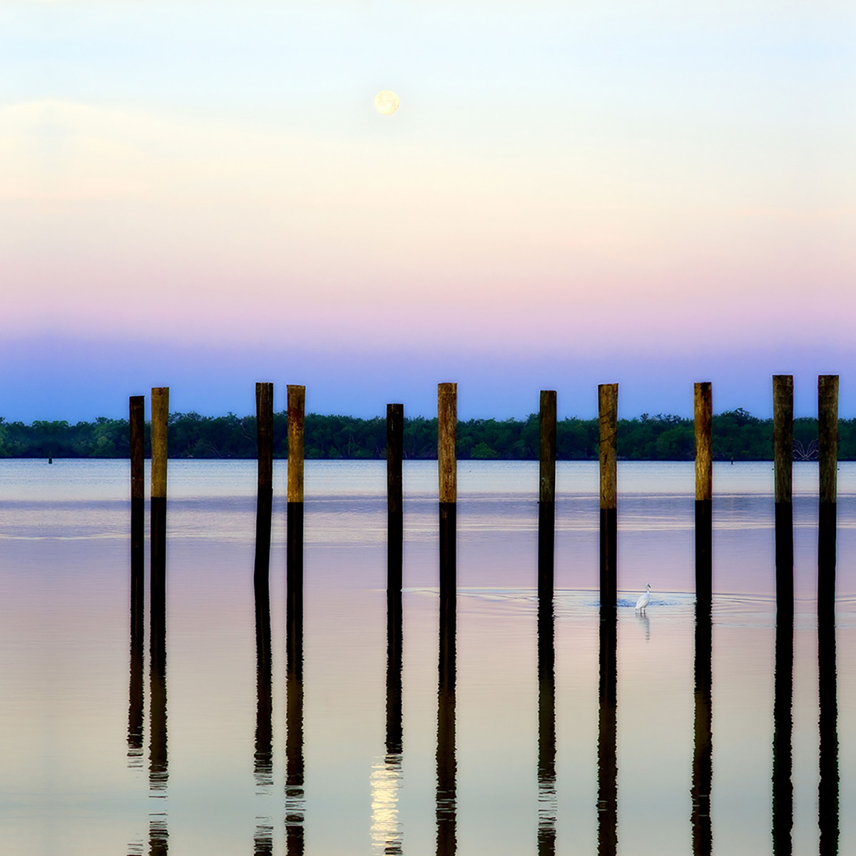 Morning Serenity # 1