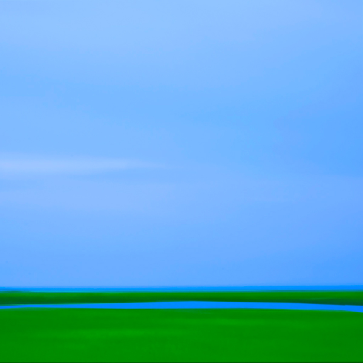 Savannah Marsh