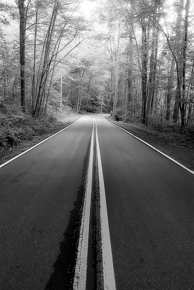 North Carolina st rd 151