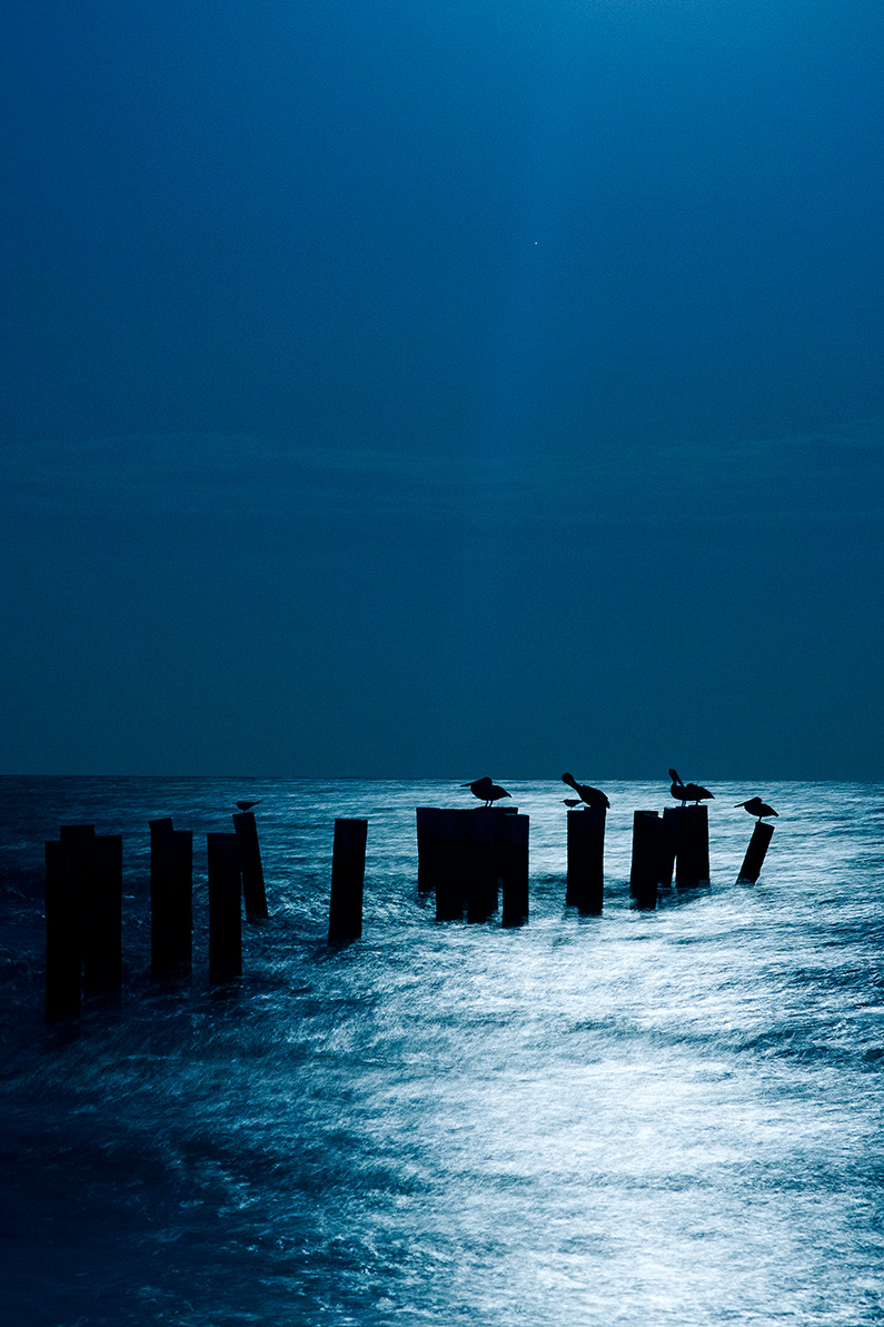 Moon Over Pelicans -- Vert