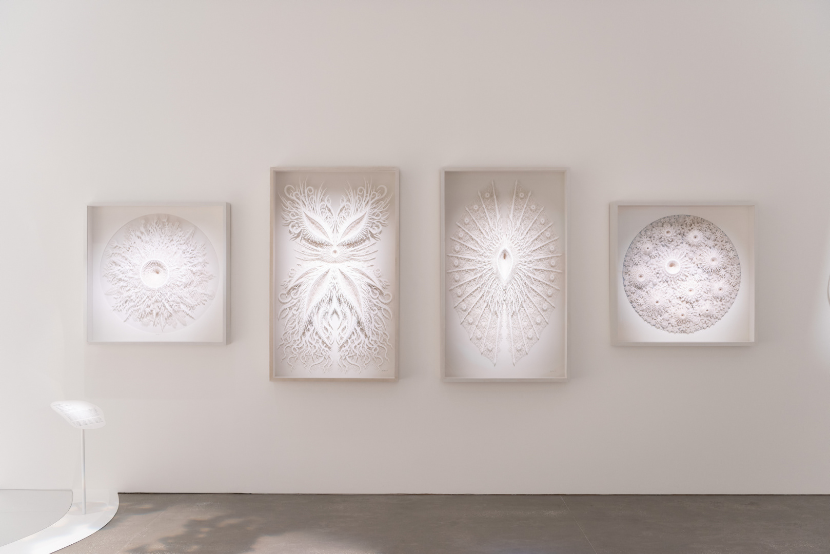 Rogan Brown, Lindenbaum Gallery, The Netherlands
