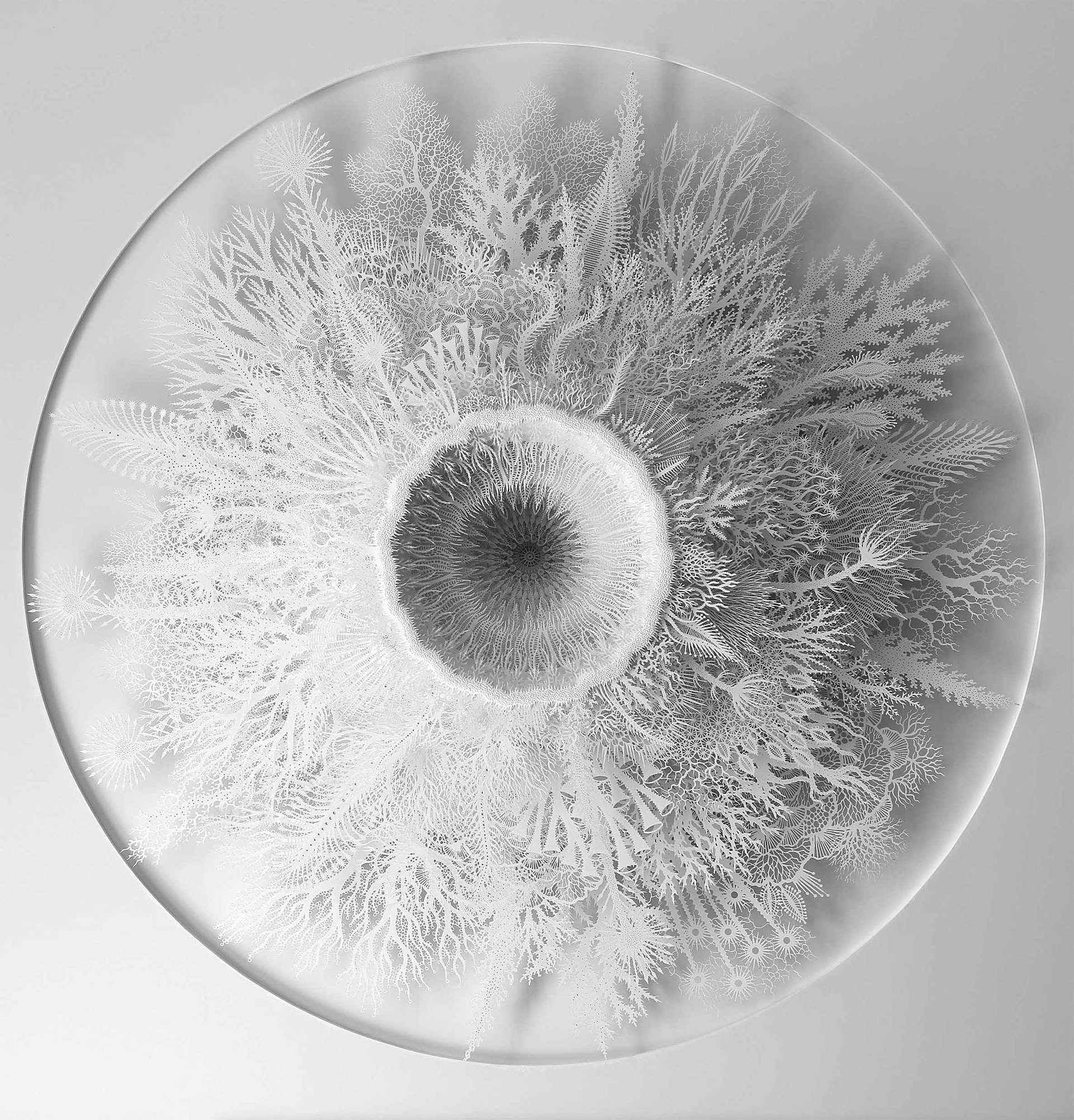 A hand- and laser-cut paper artwork by Rogan Brown, represented in the Netherlands by Lindenbaum Gallery.
