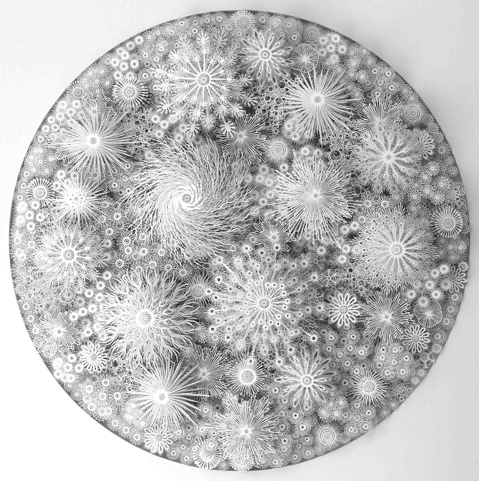 A hand- and laser-cut paper artwork by Rogan Brown, represented in the Netherlands by Lindenbaum Gallery.