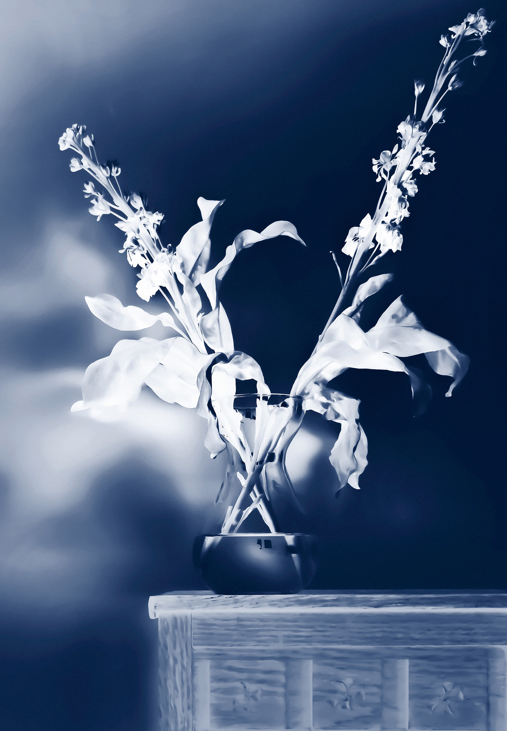 Blueprint No. 2 – Print on Hahnemühle Baryta Pearl