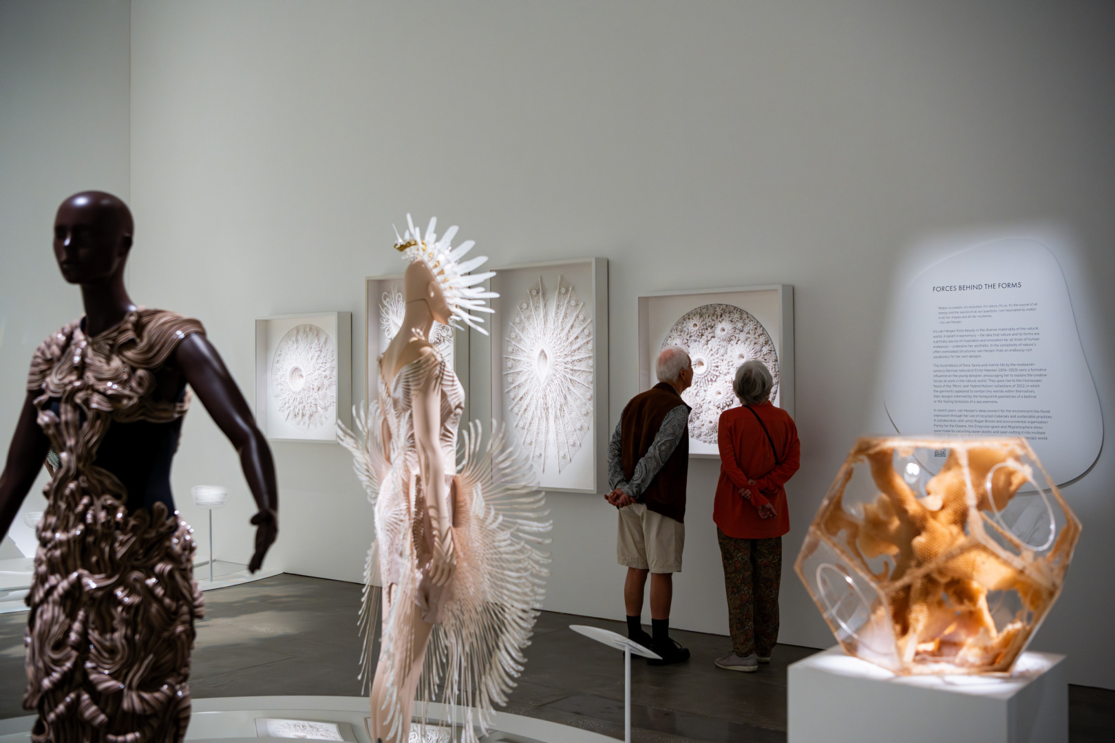 Rogan Brown, Lindenbaum Gallery, The Netherlands