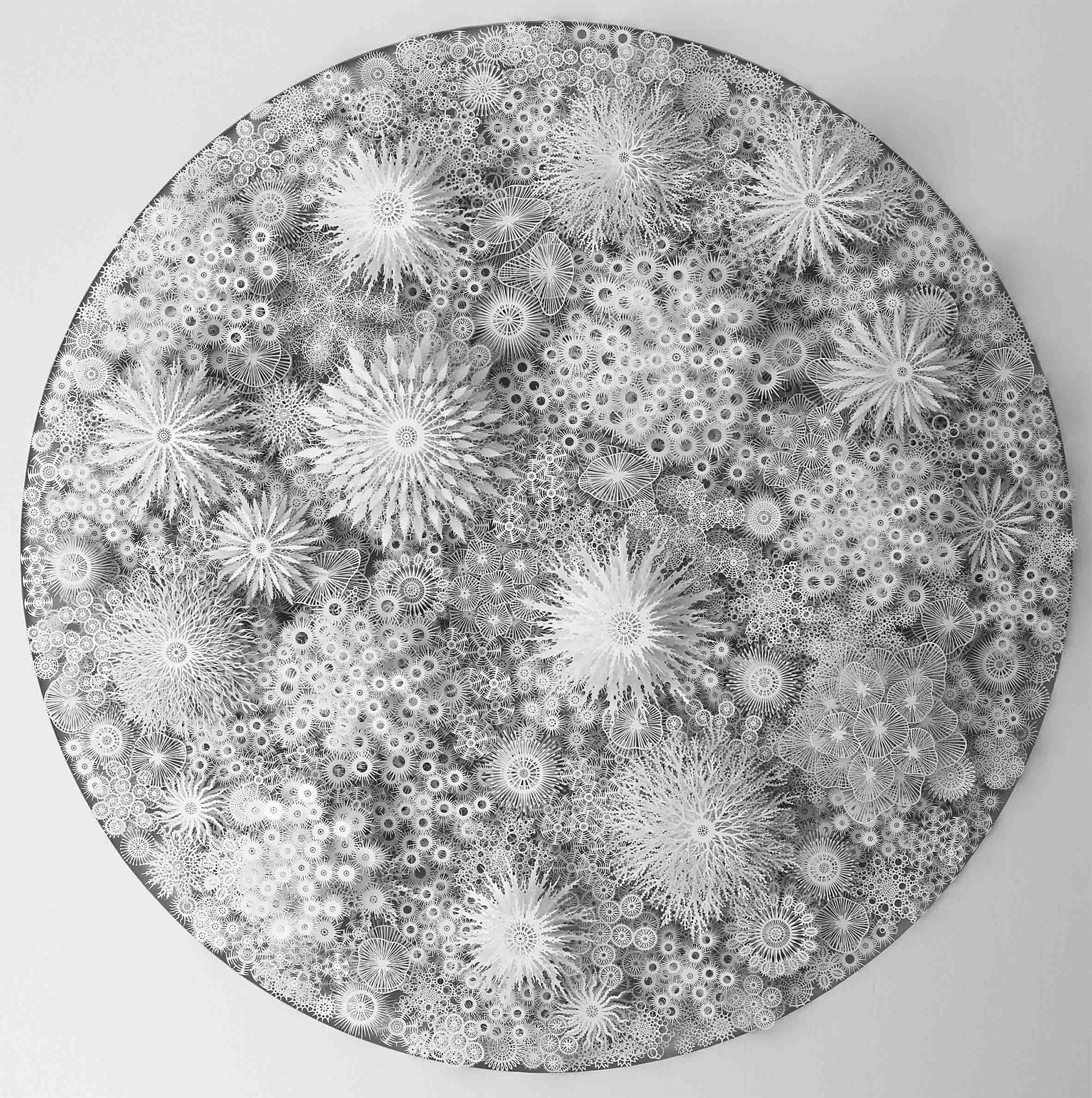 A hand- and laser-cut paper artwork by Rogan Brown, represented in the Netherlands by Lindenbaum Gallery.