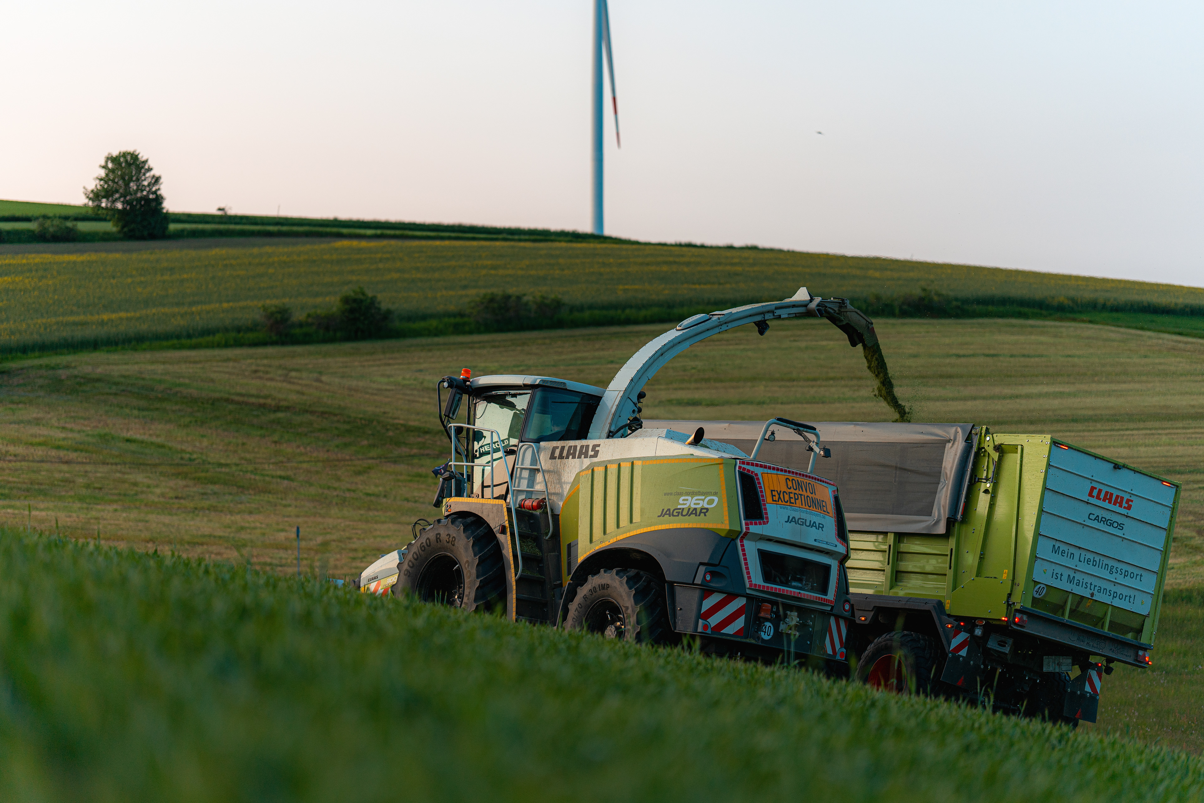 Häckseln in der Region Oberfranken mit einem Claas Jaguar 960
