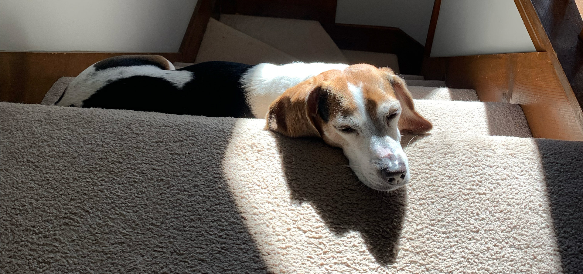 Sun Slumber