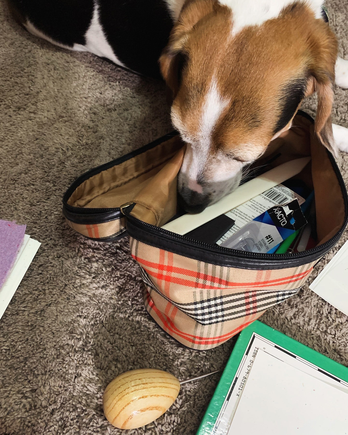 Nosey about Bookarts