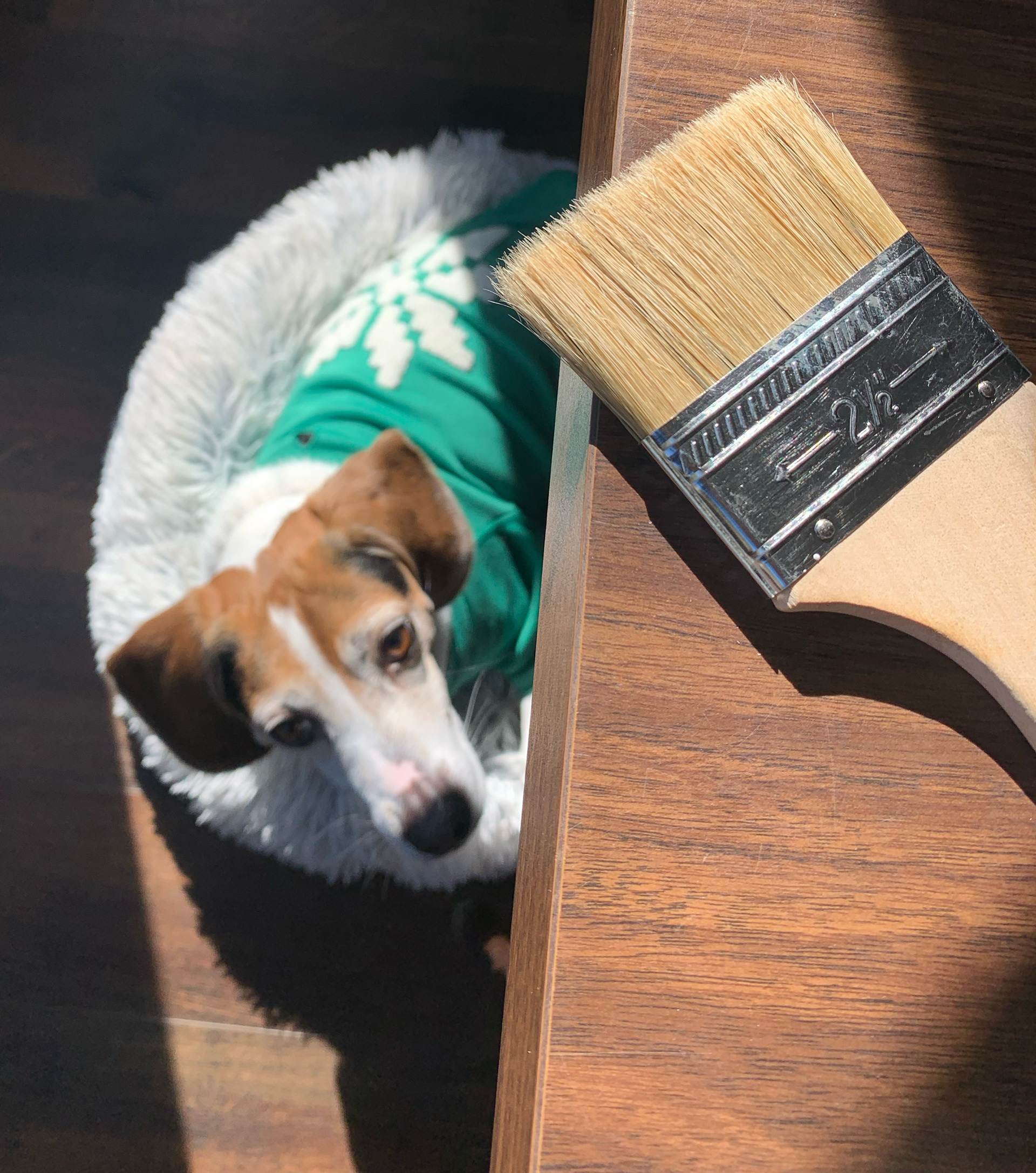 Overseeing the Painting Process