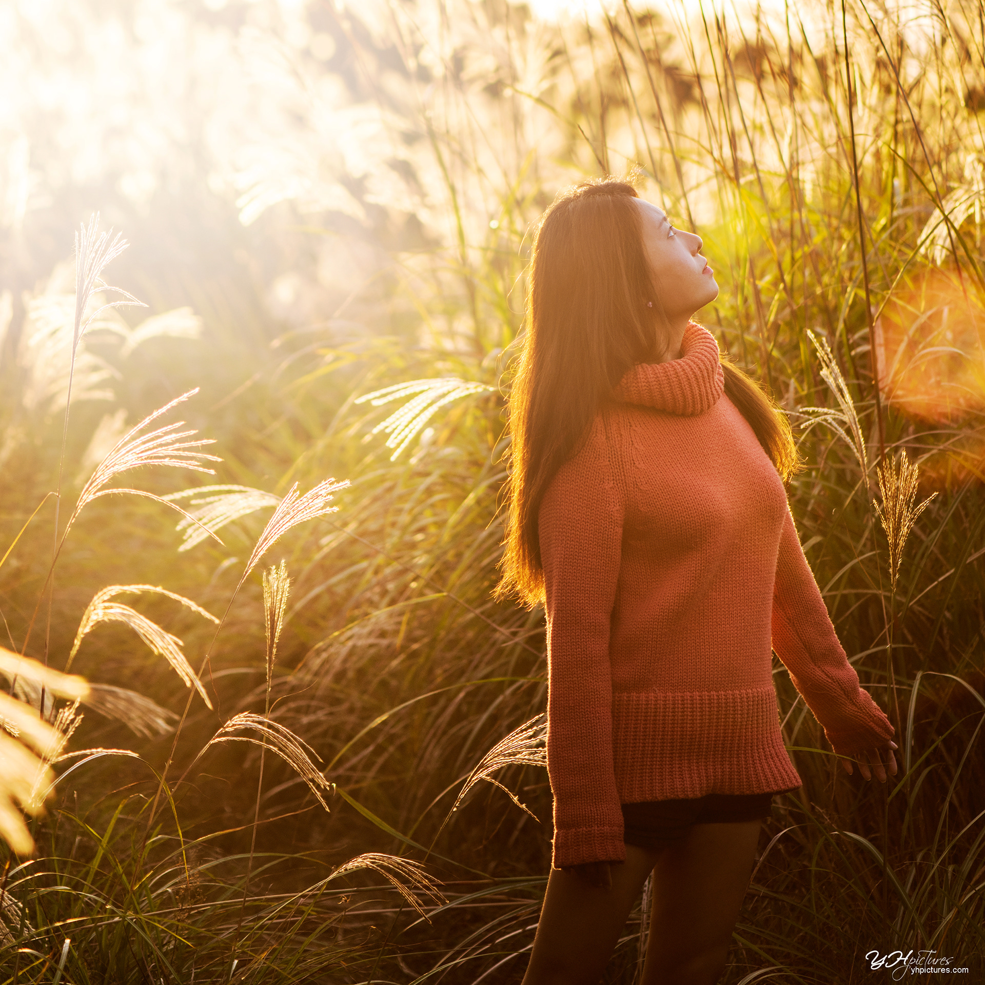 JHM10YC26159_10HY7 @Jeju │ D810 │ B2