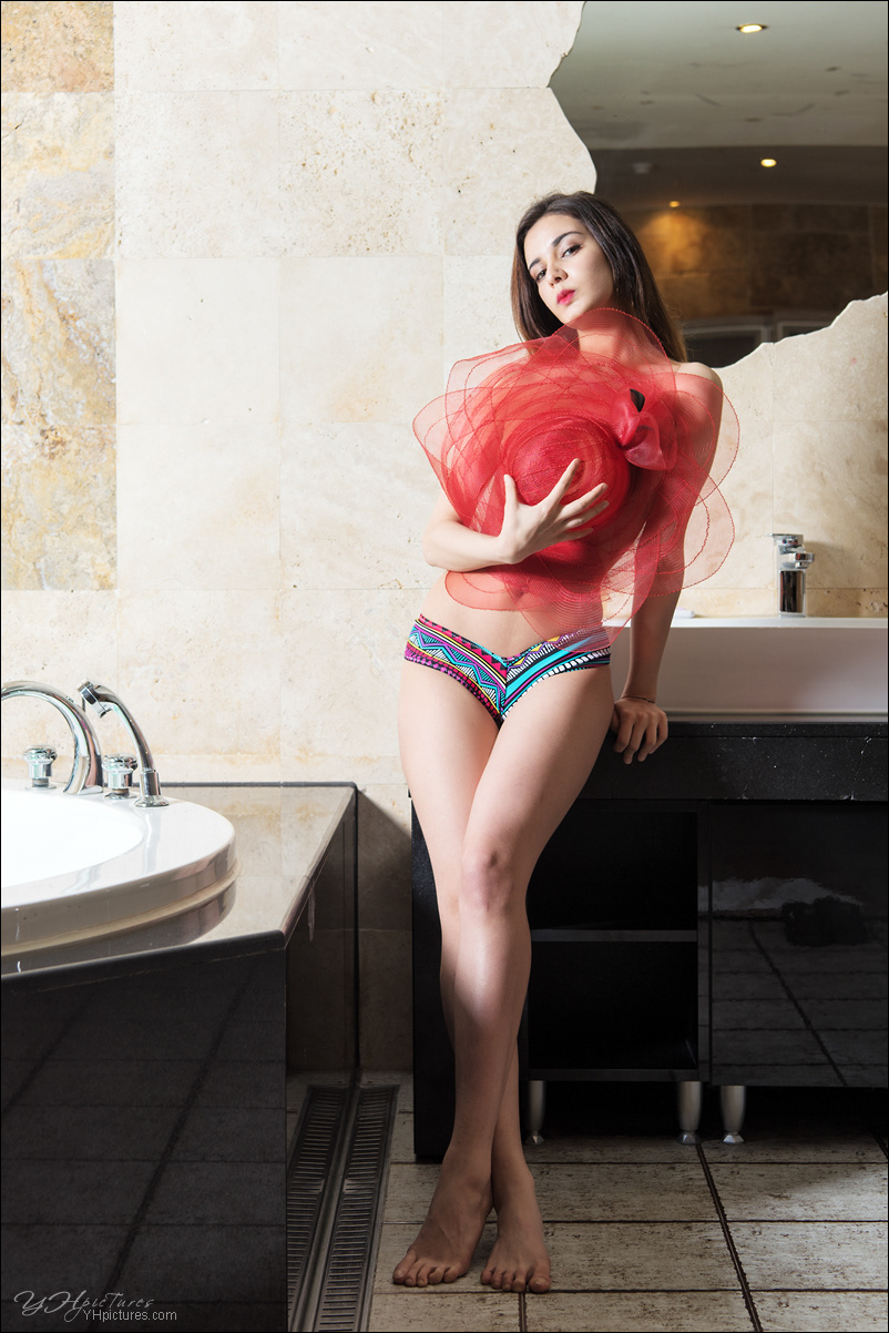 Tima05YU291272 │ D810 │ B1