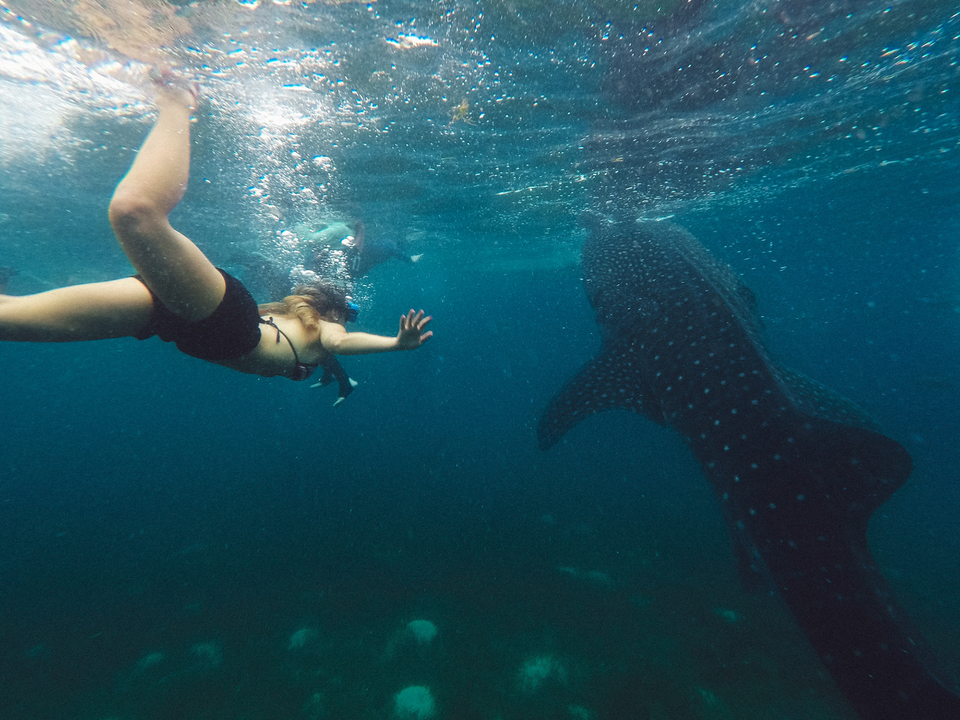 DCIM\100GOPRO\GOPR0609.JPG