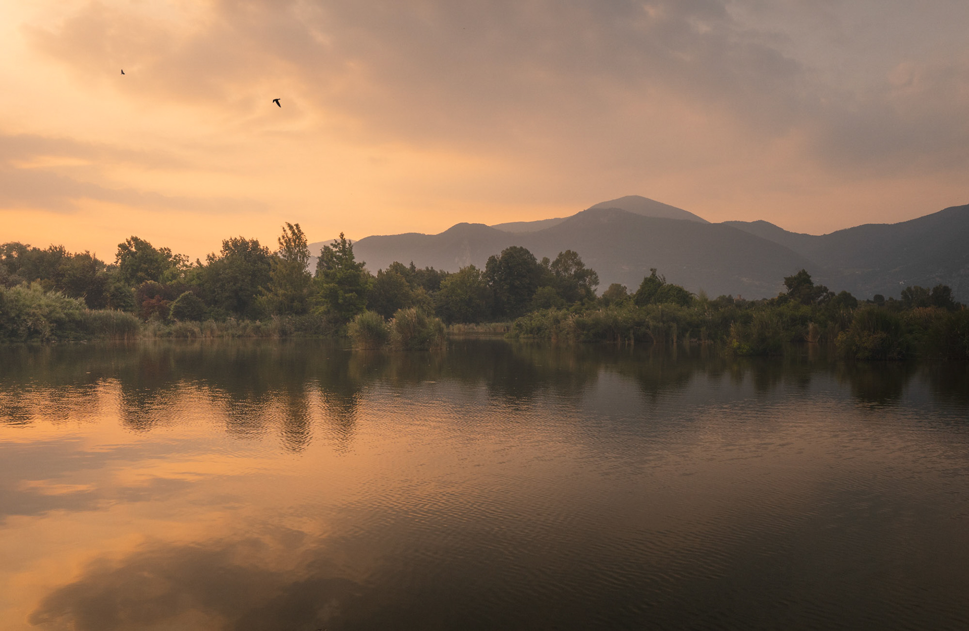 This image was made at a pond nearby. Summer sunsets here in Northern Italy usually do not make for the best sceneries but that evening the light was different.