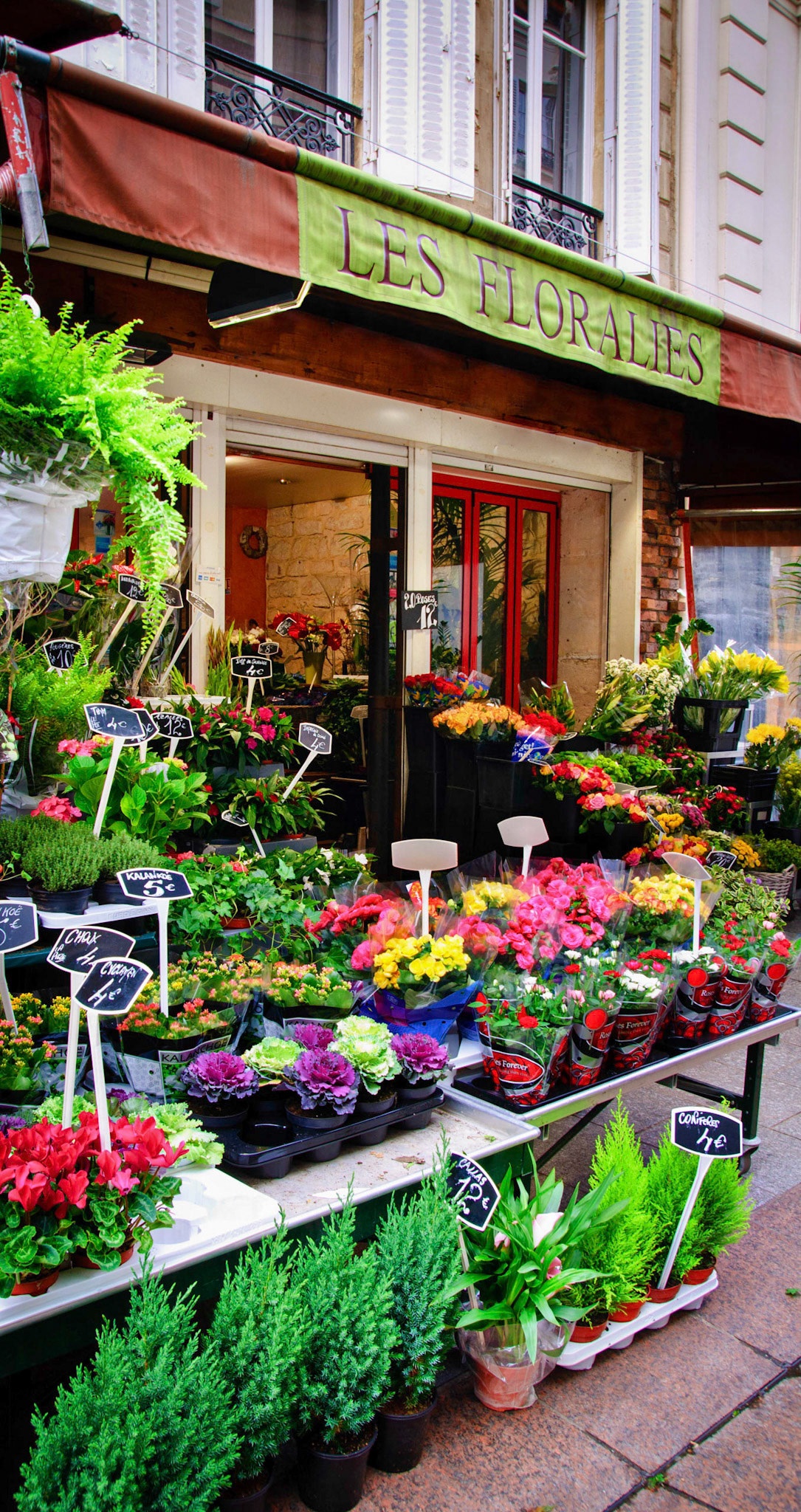 Flower Shop 1