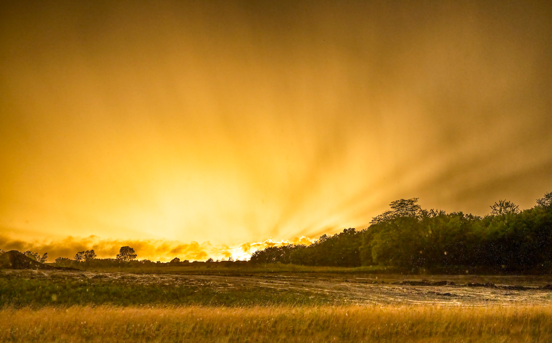 Golden Moment