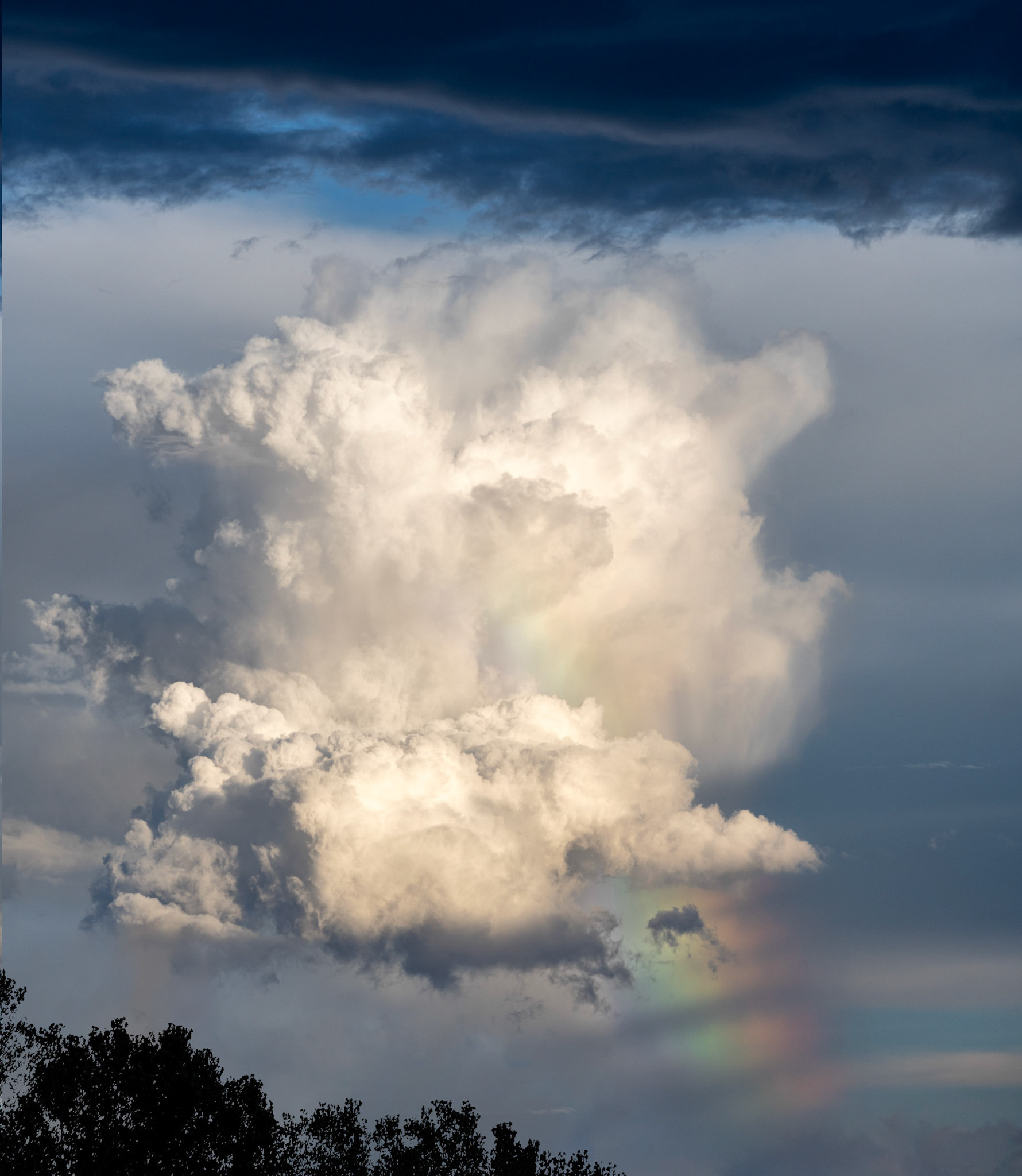 Rainbow Beauty
