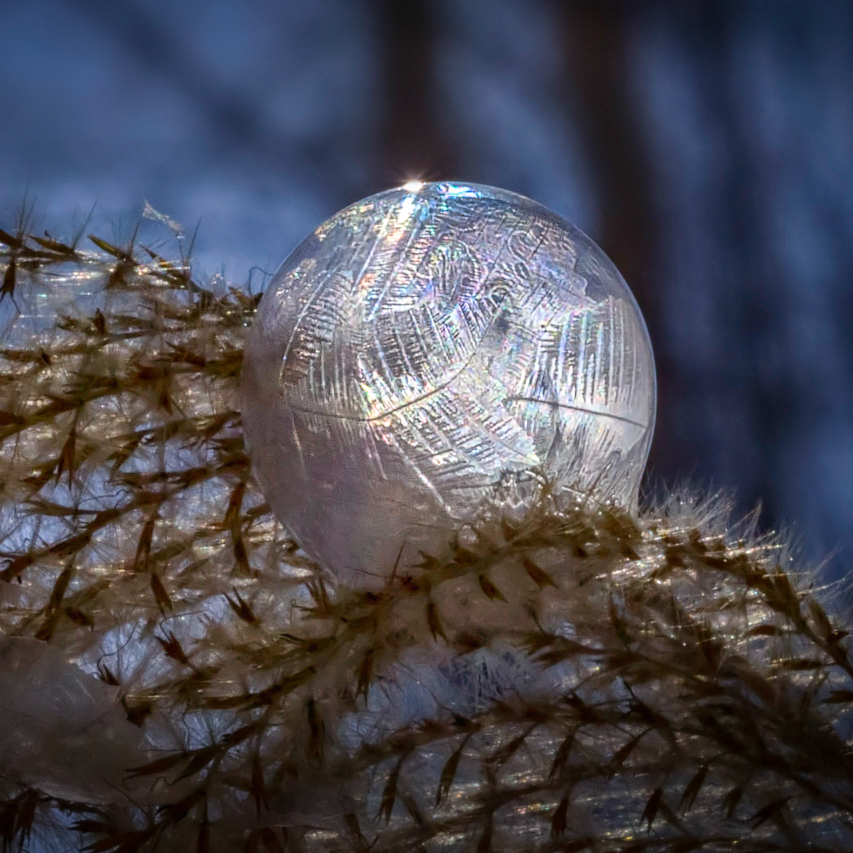 Crystal Bubble