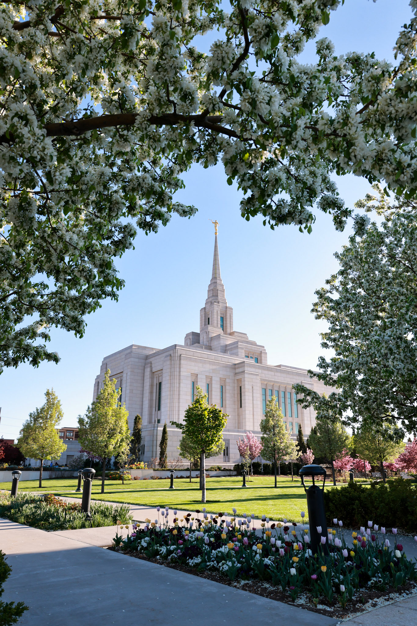 Spring blooms at the Ogden Utah Temple