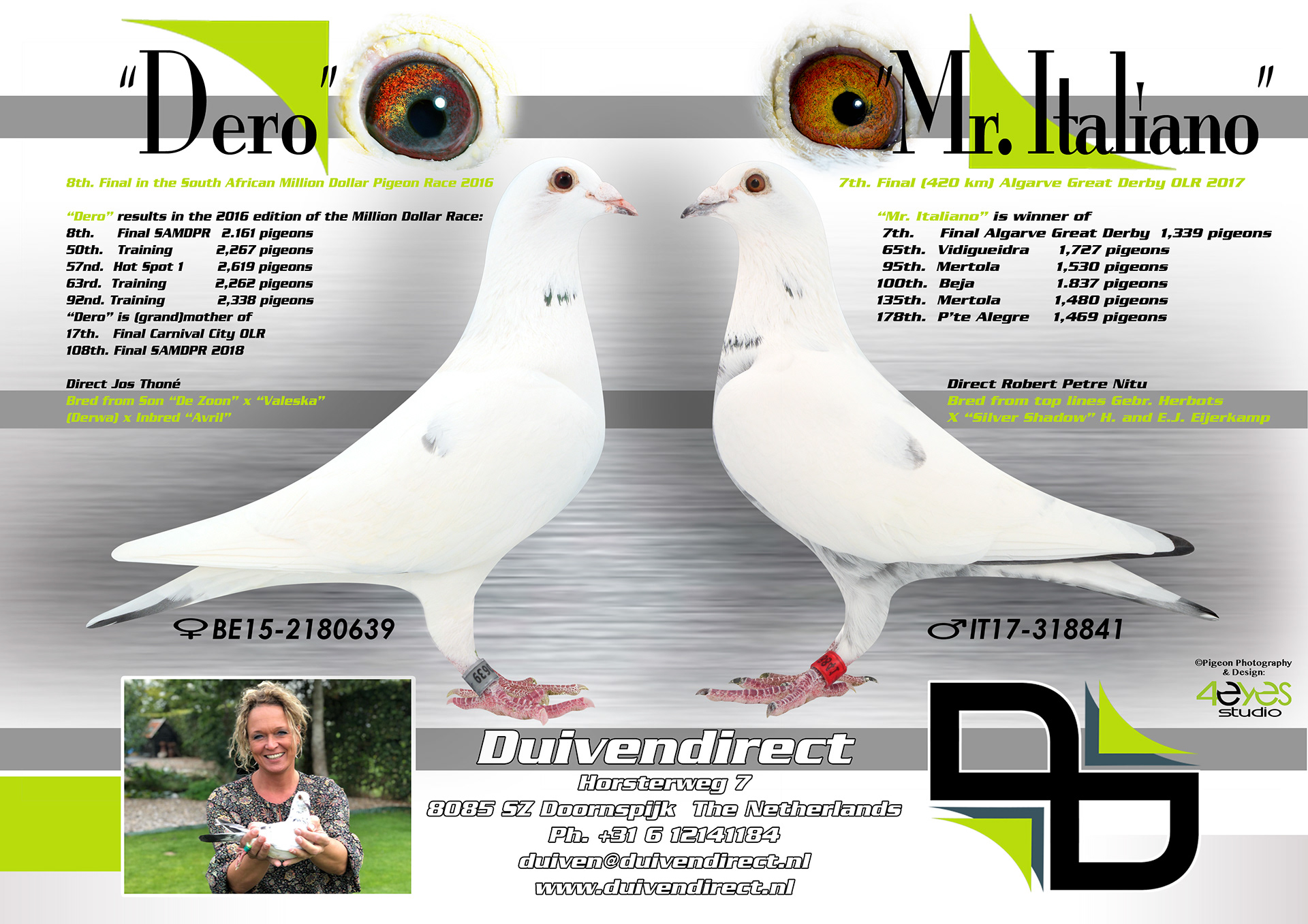 Duivendirect, Brummen
