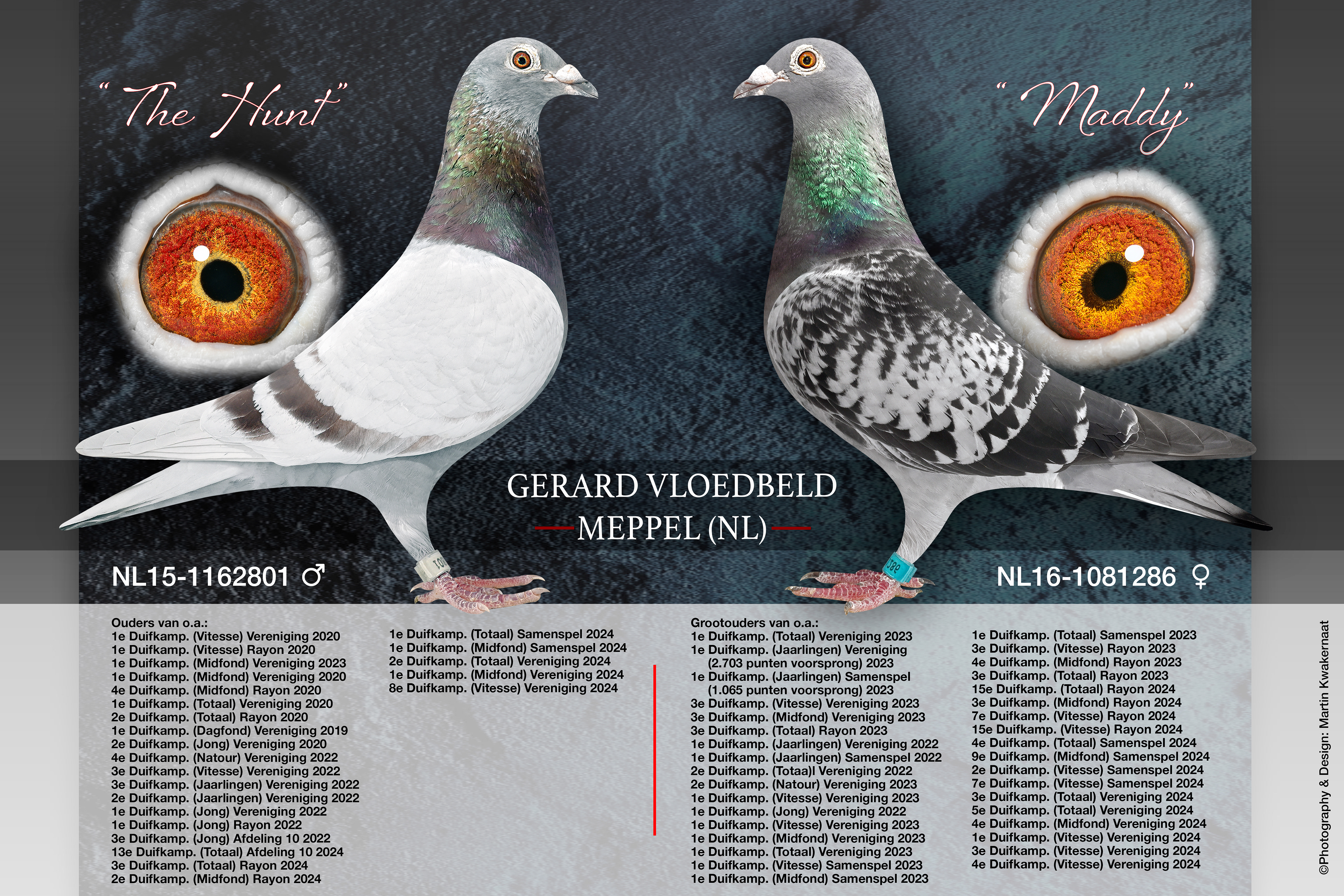 Gerard Vloedbeld, Meppel