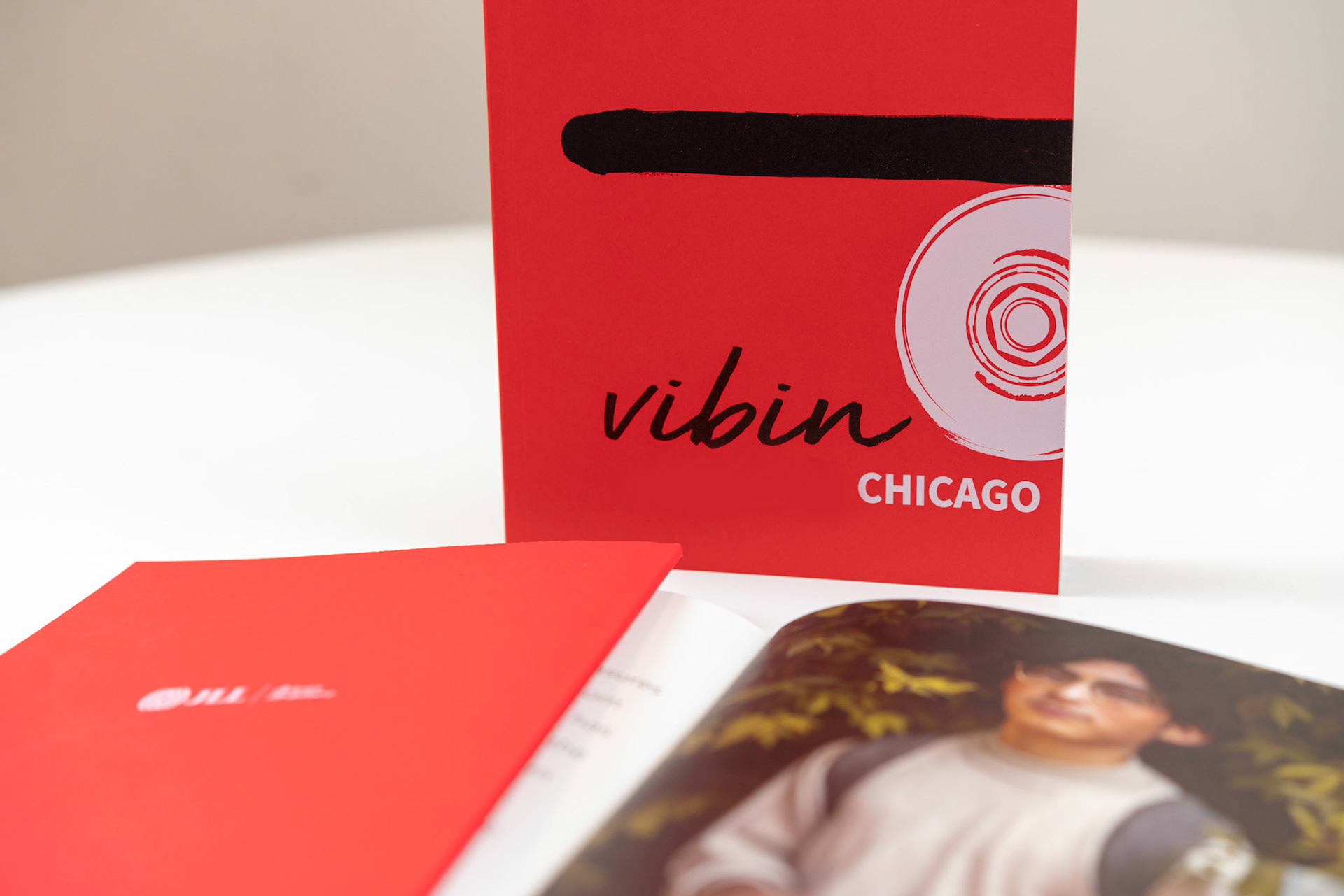 Project X- Print and Digital Brochure