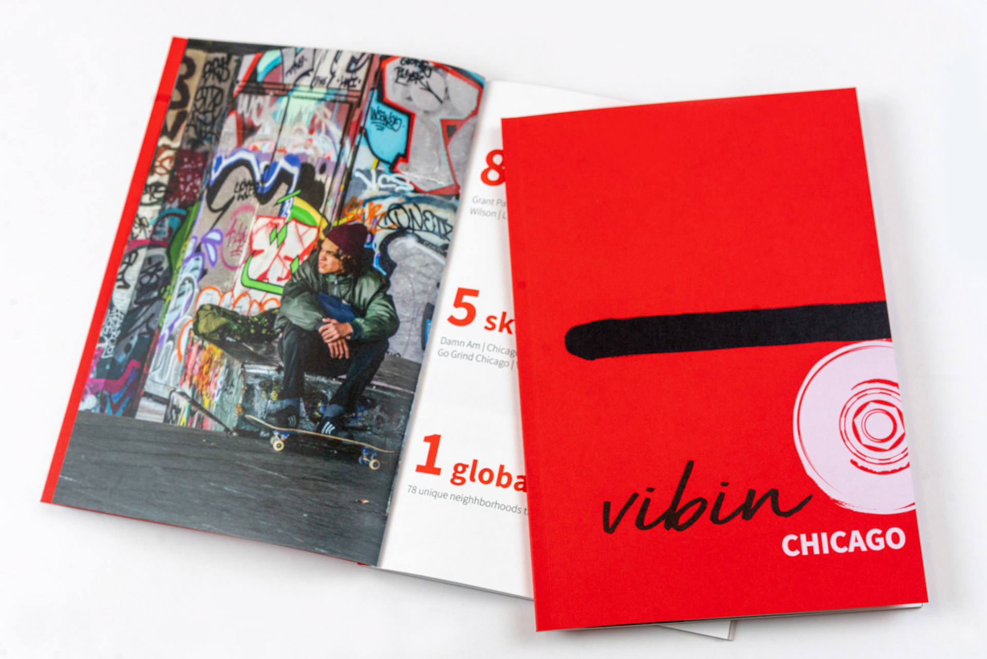 Project X- Print and Digital Brochure