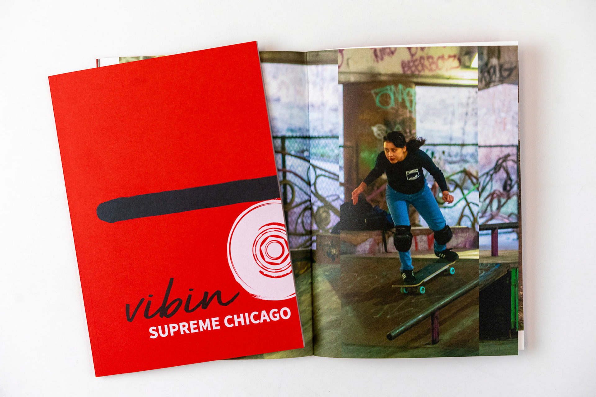Project X- Print and Digital Brochure