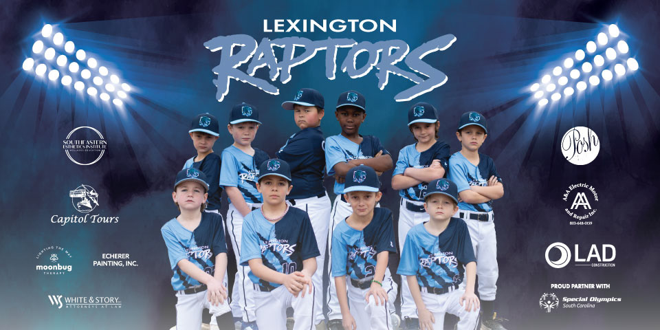 Baseball team dugout banner