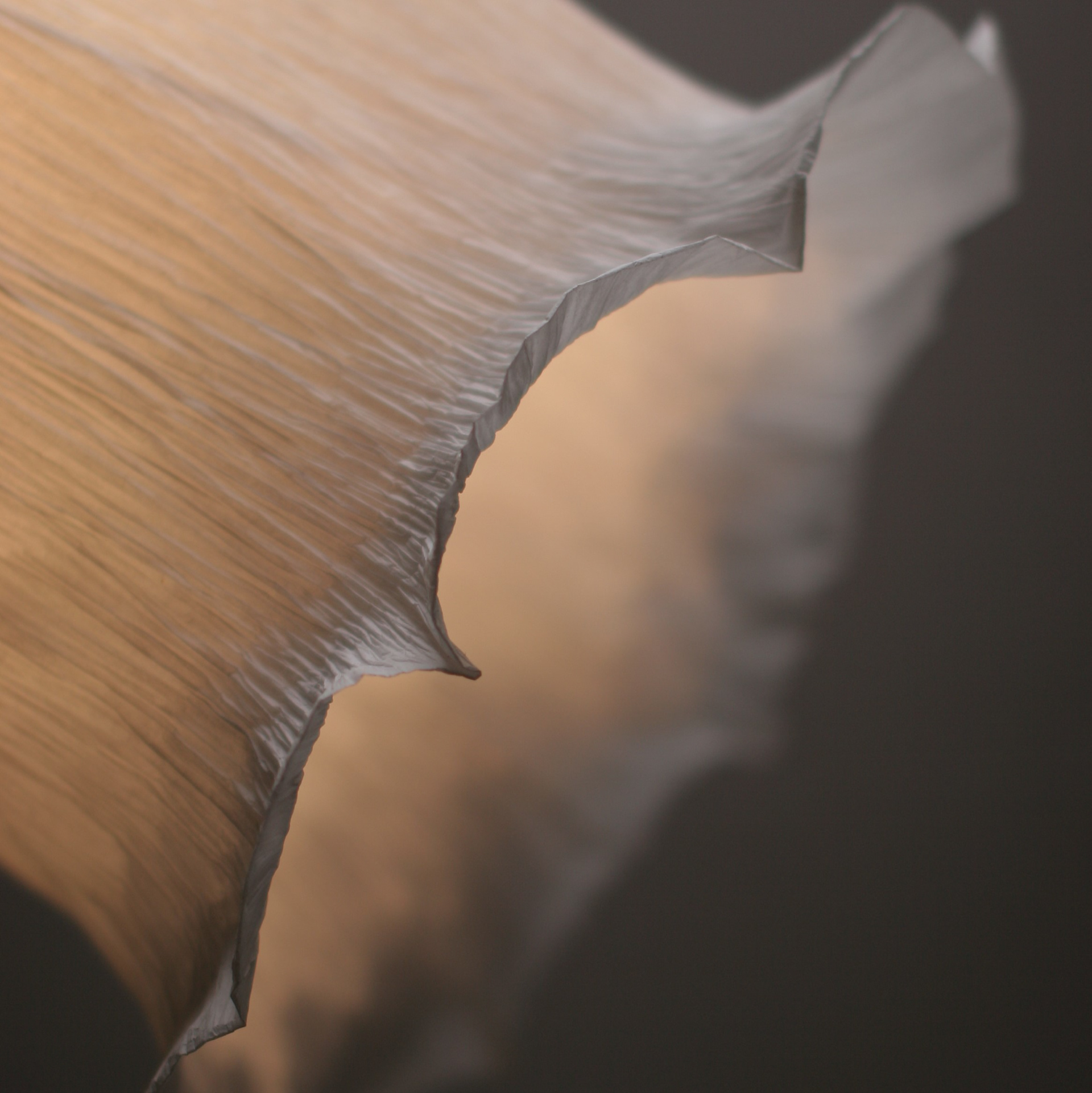 Details focus papier