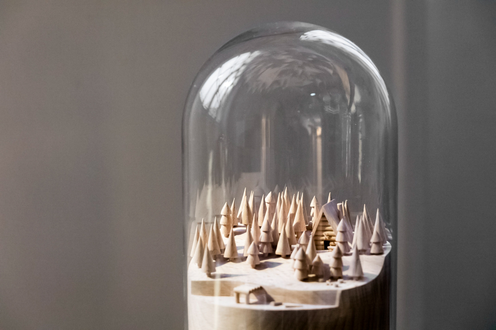 Tiny Ladscape format L 20cm de diamètre frêne & dôme en verre 650€