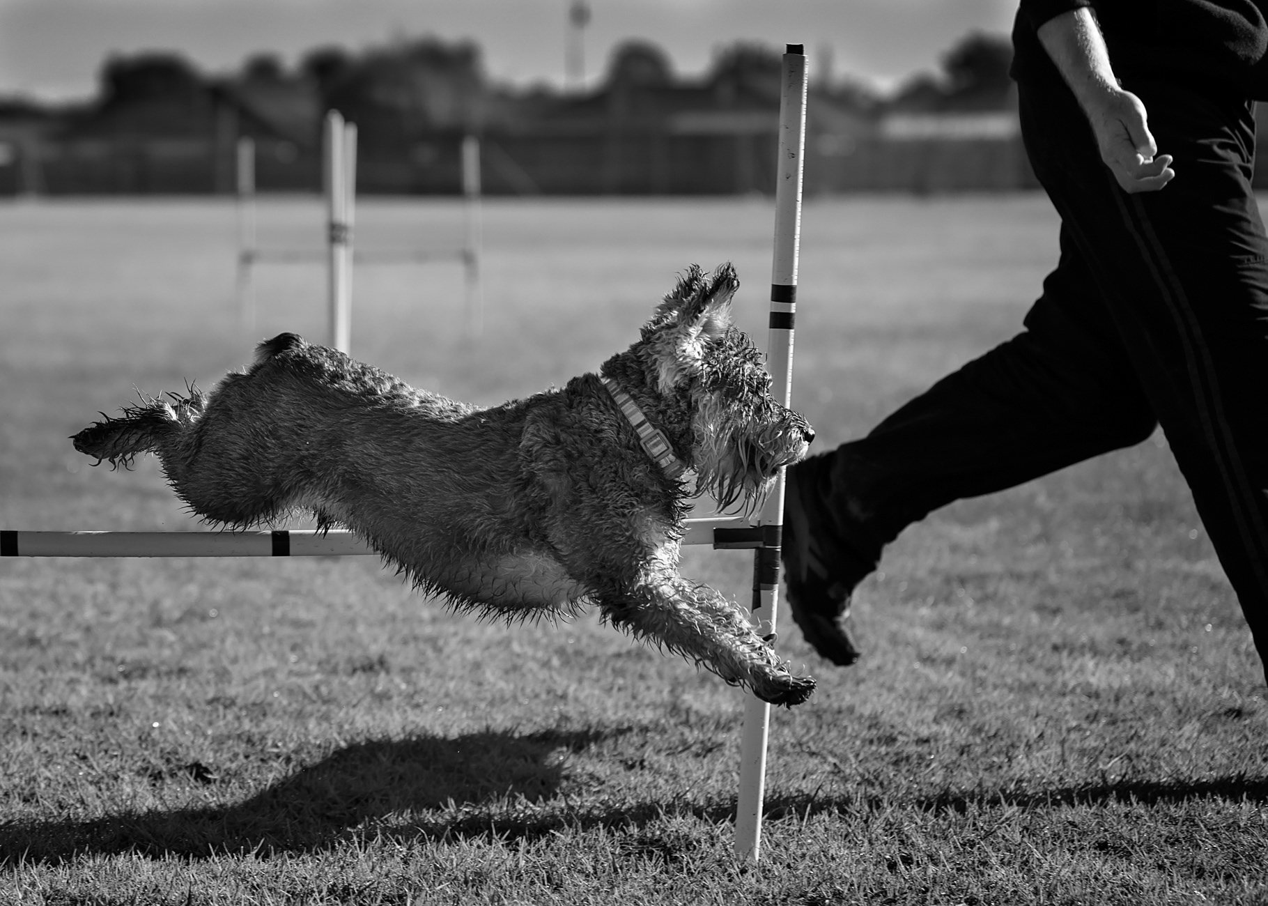 "Follow Me" - NZ National Photojournalism 2018 Honours
