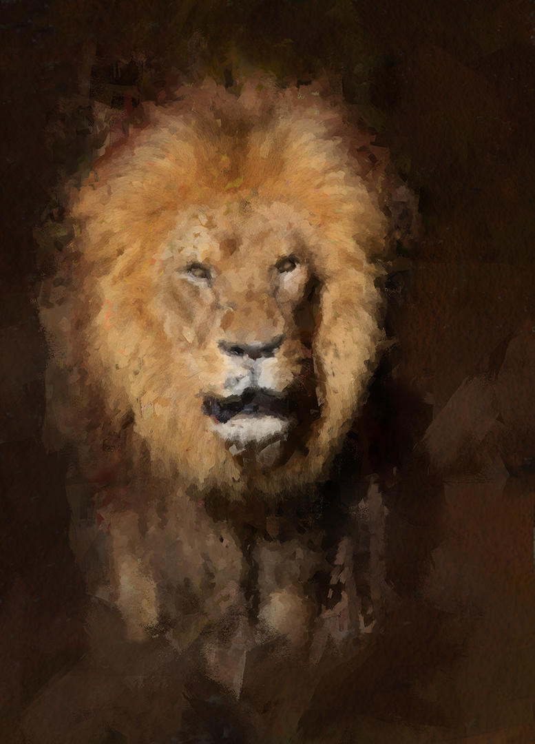 "The King" - Acceptance Creative Focus Competition 2019