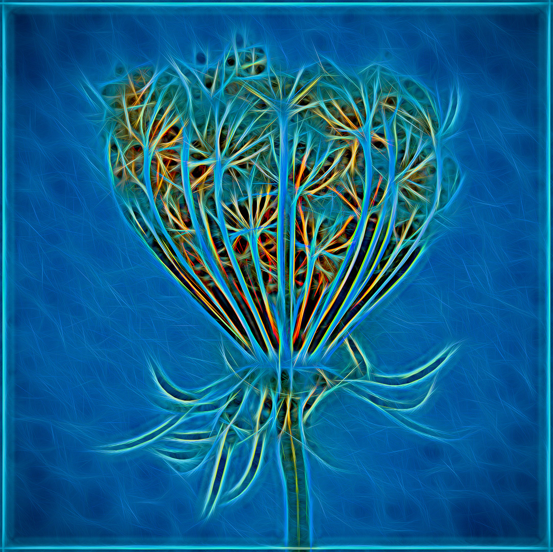 "Wildflower" - - Acceptance, All Jazzed Up, Creative Focus Competition 2020