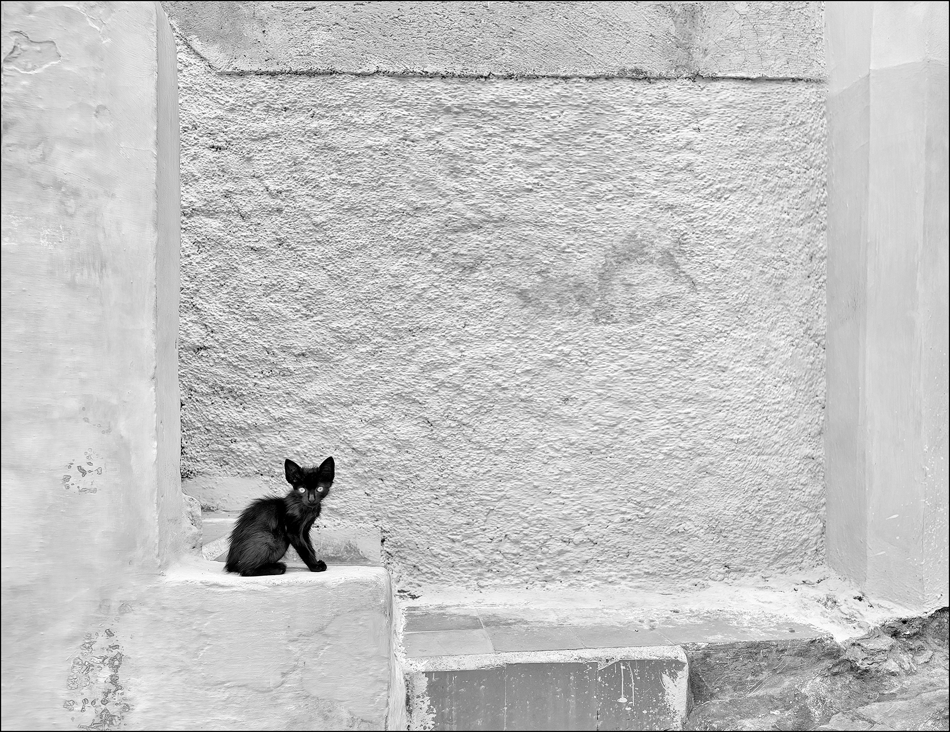 "Tiny Kitty" - Honours, Minimalist, North Shore Salon of Photography 2023