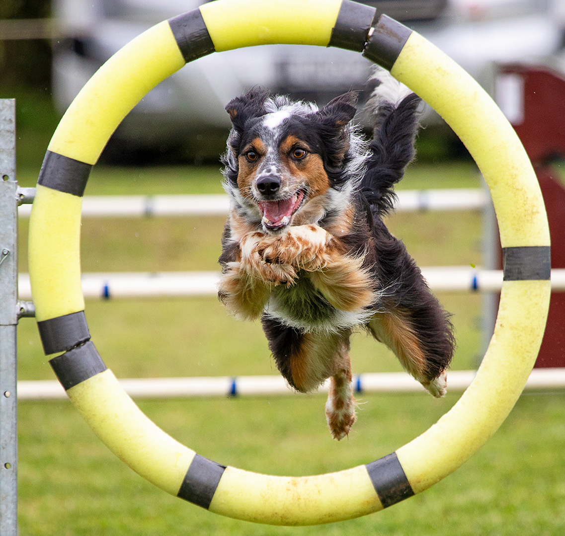 "Jumping Through" - Honours, Sport and Action, National PJ Comp 2020