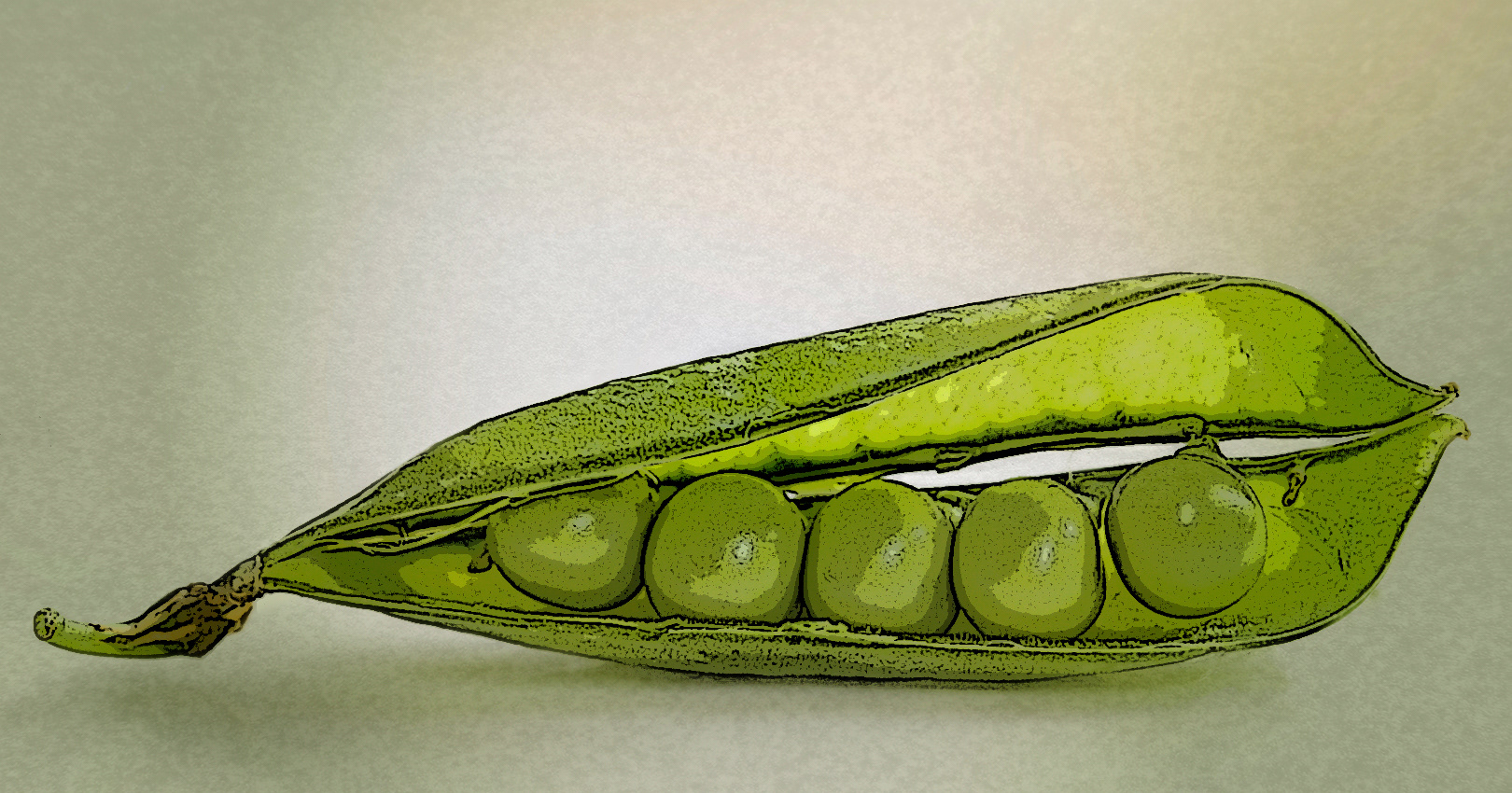 "Peas in a Pod" - Acceptance Creative Focus Competition 2019