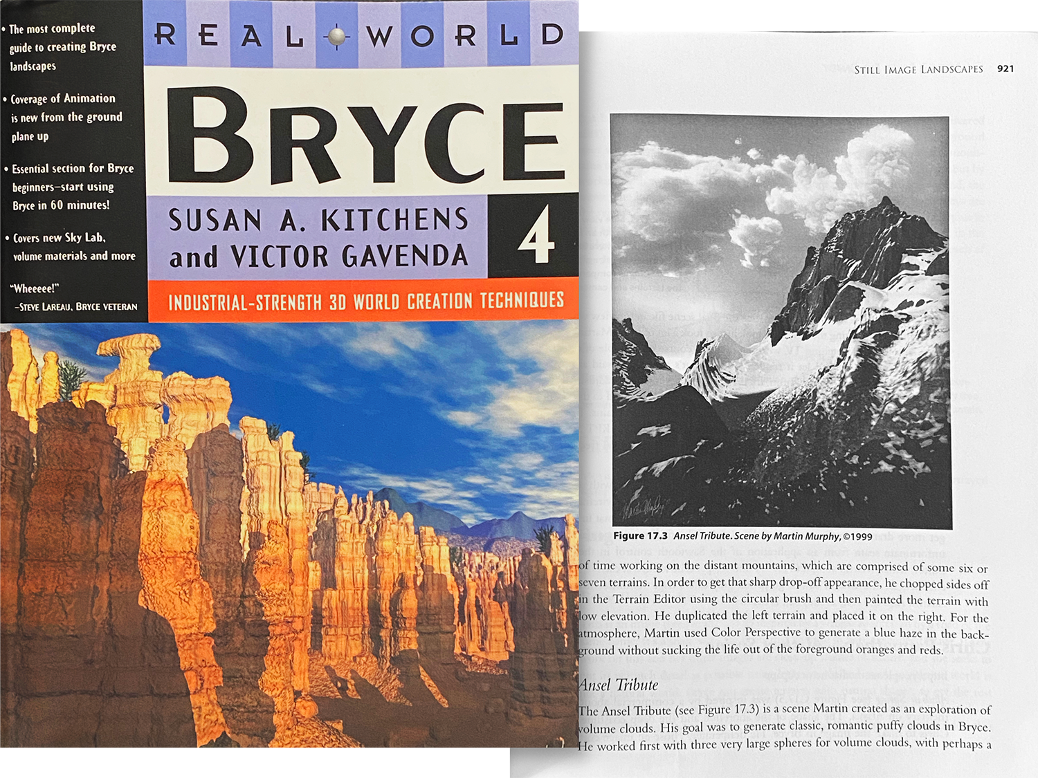 Featured Artist in Real World Bryce Book
