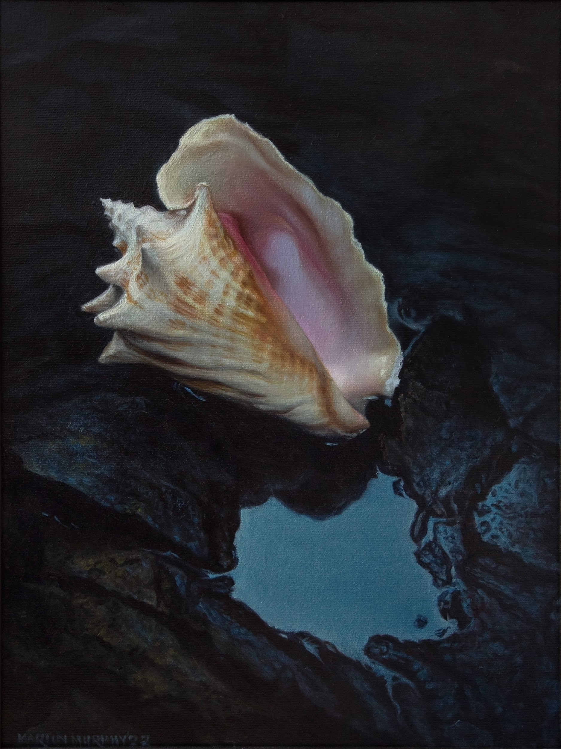 "Night Conch" oil on canvas, 16"x12" 40.6cm x 30.5cm (SOLD)