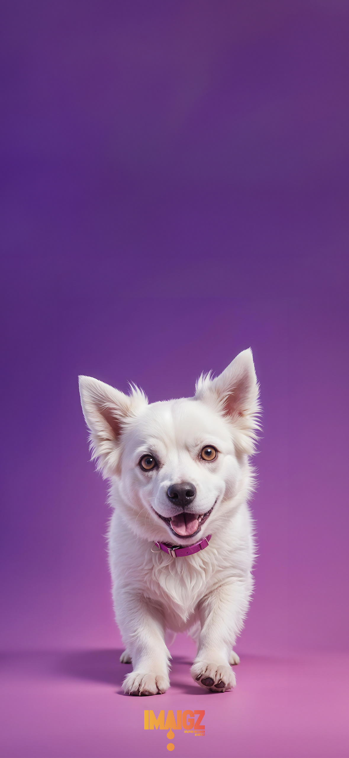 White Dog Wallpaper
