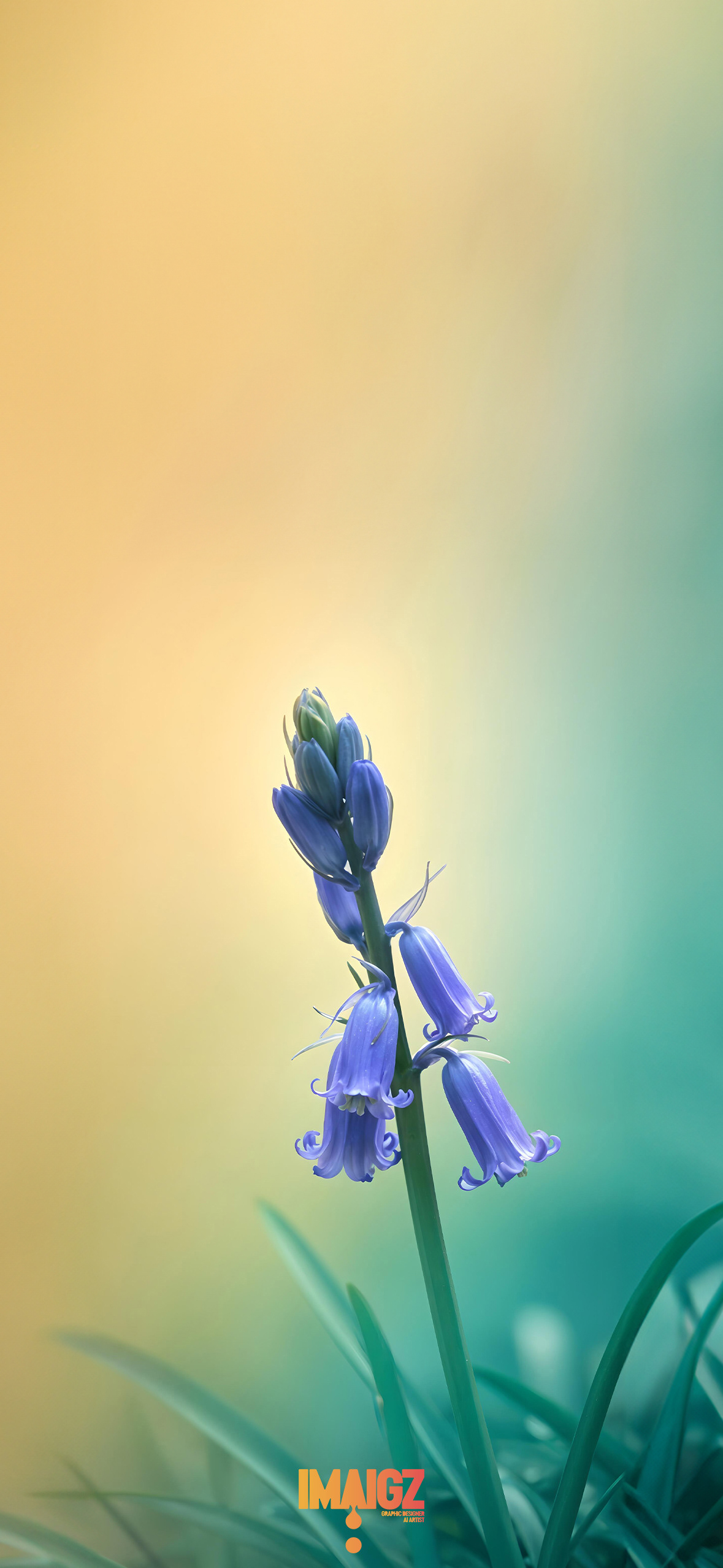 Purple Flower Grass