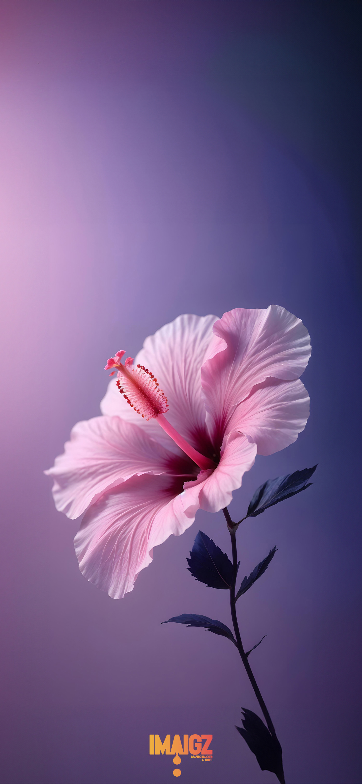 Pink Flower