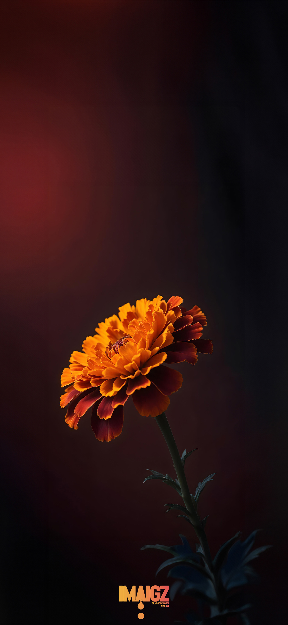 Orange Flower
