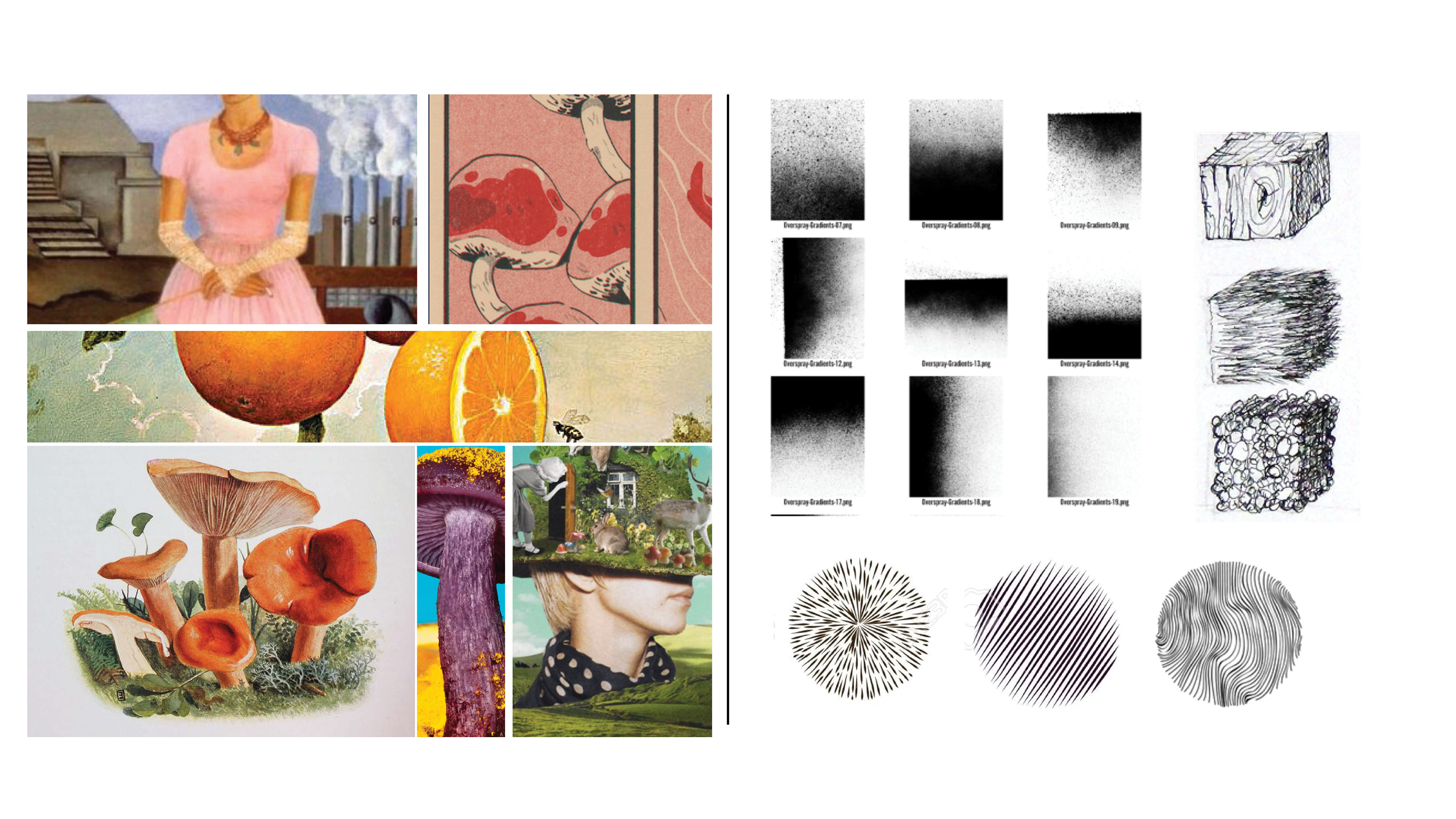 Mood Board