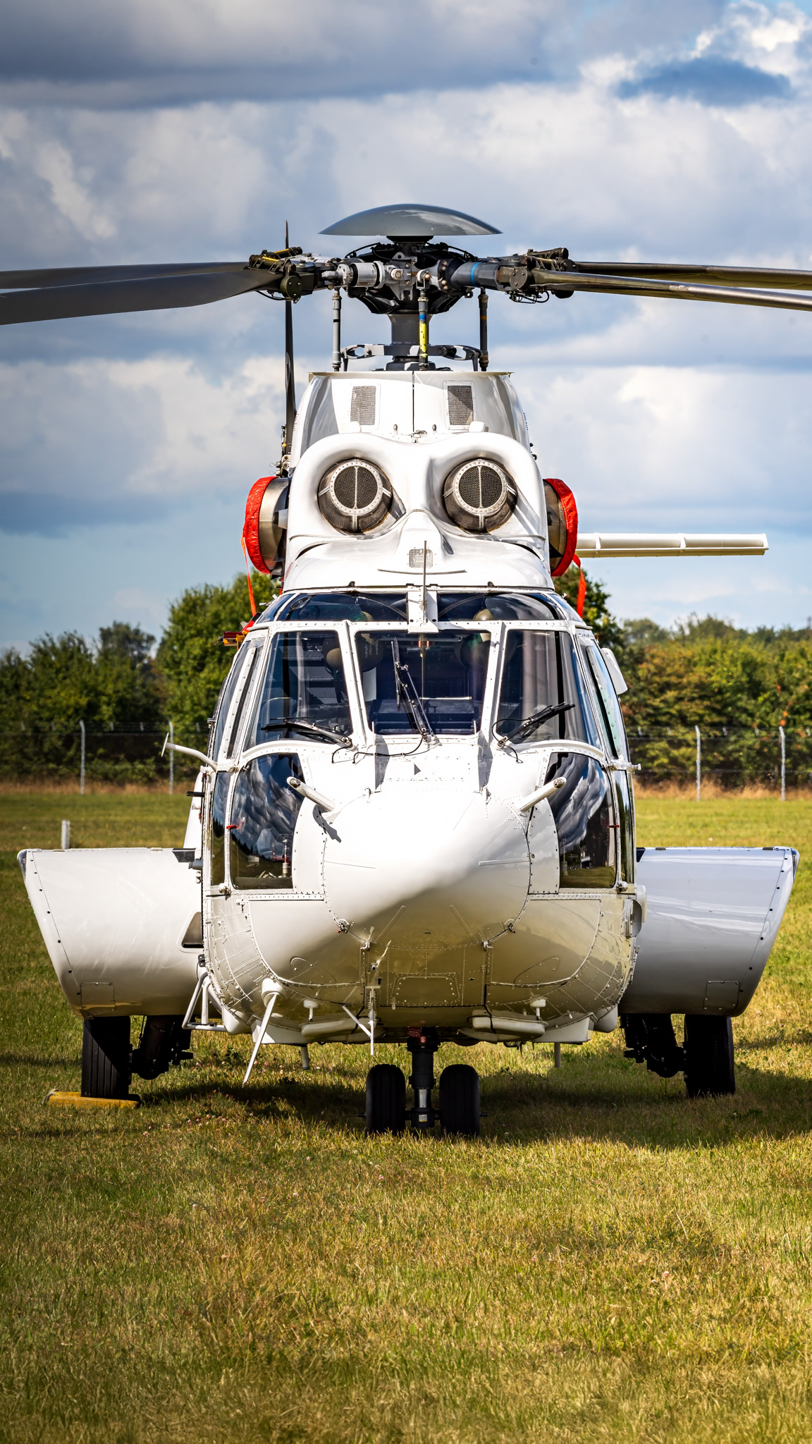 Germany - Air Force Aerospatiale AS-532U2 Cougar MkII Reg: 82+02