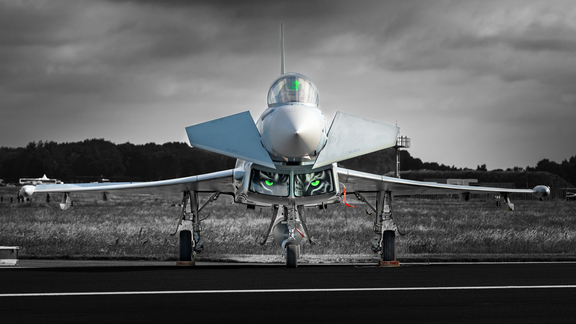 Luftwaffe (German Air Force) Eurofighter EF-2000 Typhoon 31+36