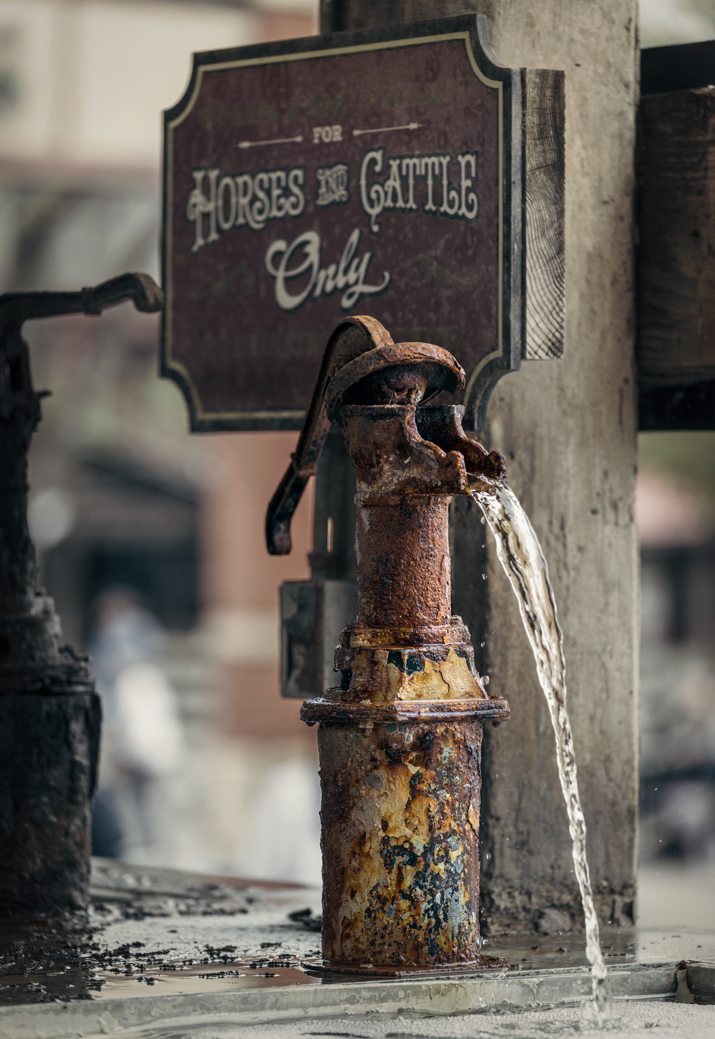 Fort Worth Stockyards Historic District 2025