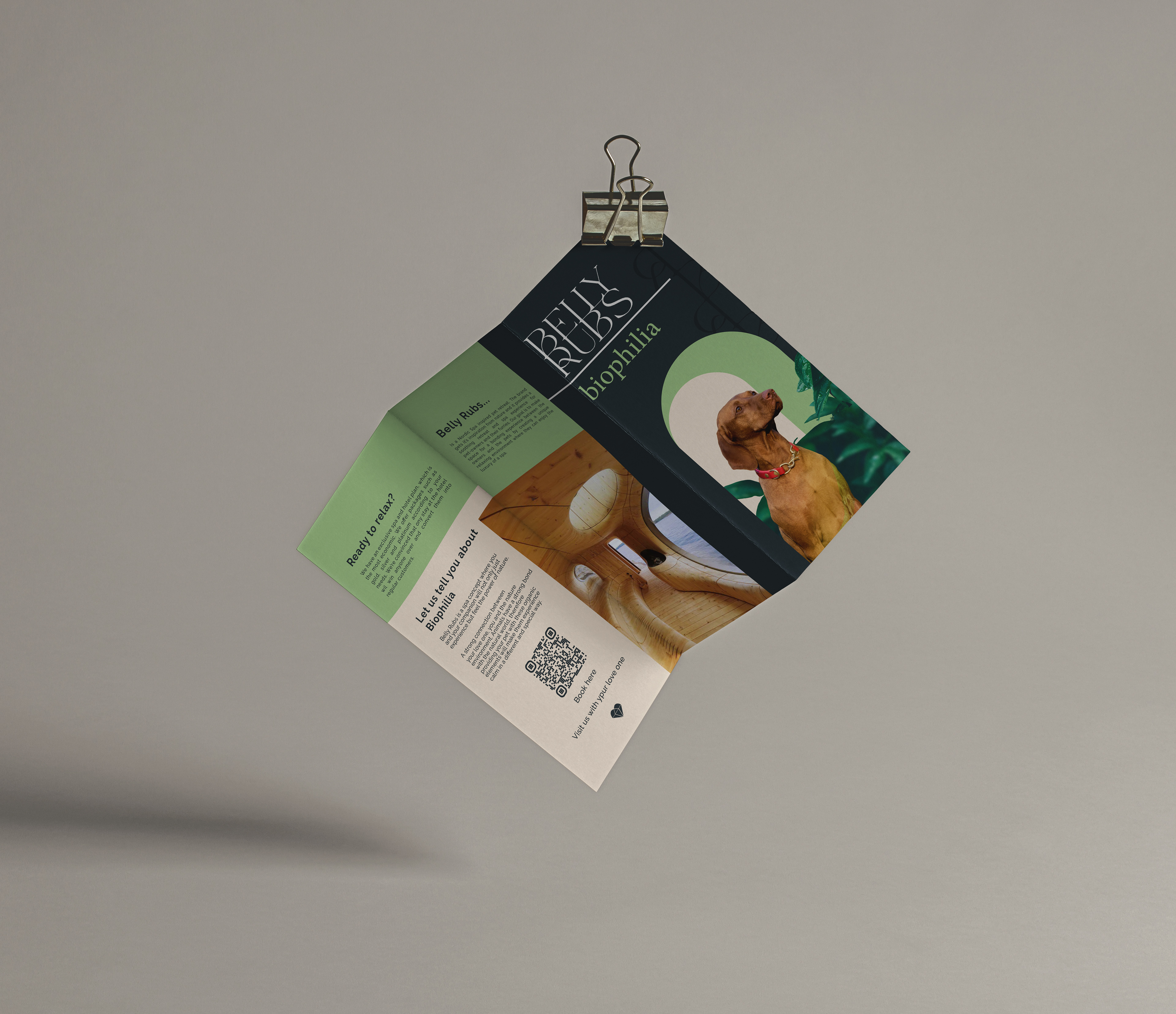 Brochure describing the different services and contact for BellyRubs.